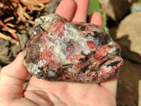 Natural Rhodonite Cobbed Specimens x 6 From Zimbabwe