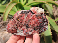 Natural Rhodonite Cobbed Specimens x 6 From Zimbabwe