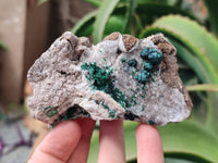 Natural Ball Malachite On Quartz Matrix Specimens x 3 From Kambove, Congo