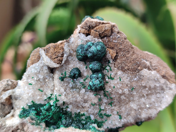 Natural Ball Malachite On Quartz Matrix Specimens x 3 From Kambove, Congo