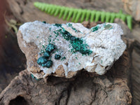 Natural Ball Malachite On Quartz Matrix Specimens x 3 From Kambove, Congo