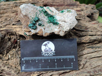 Natural Ball Malachite On Quartz Matrix Specimens x 3 From Kambove, Congo