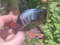 Polished Bloodstone Points x 6 From Swaziland