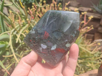 Polished Bloodstone Points x 6 From Swaziland