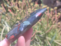 Polished Bloodstone Points x 6 From Swaziland