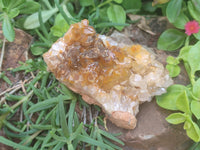 Natural Limonite Quartz Clusters x 3 From Zambia