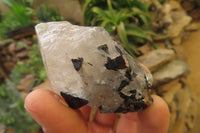 Natural Black Tourmaline With Quartz Specimens x 12 From Zimbabwe