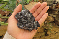 Natural Black Tourmaline With Quartz Specimens x 12 From Zimbabwe