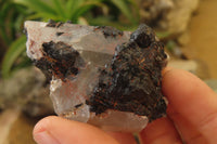 Natural Black Tourmaline With Quartz Specimens x 12 From Zimbabwe