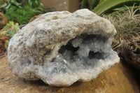 Natural Celestite Geode Specimen x 1 From Sakoany, Madagascar