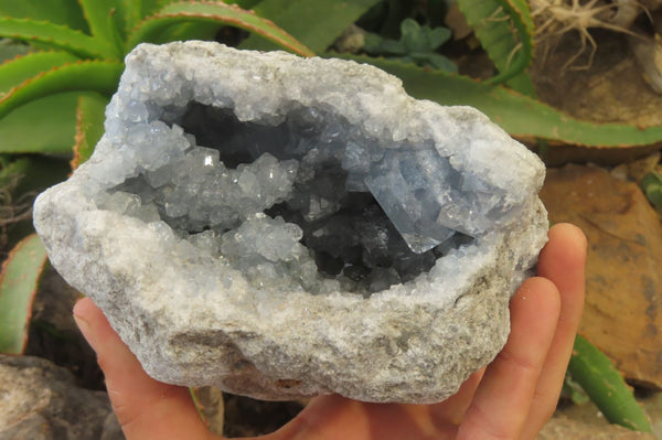 Natural Celestite Geode Specimen x 1 From Sakoany, Madagascar