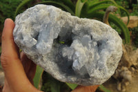 Natural Celestite Geode Specimen x 1 From Sakoany, Madagascar