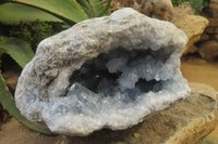 Natural Celestite Geode Specimen x 1 From Sakoany, Madagascar