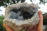 Natural Celestite Geode Specimen x 1 From Sakoany, Madagascar