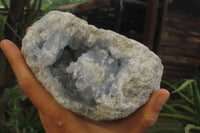 Natural Celestite Geode Specimen x 1 From Sakoany, Madagascar