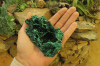 Natural Silky Malachite Specimens x 6 From Kasompe, Congo