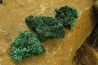 Natural Silky Malachite Specimens x 6 From Kasompe, Congo