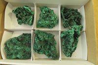 Natural Silky Malachite Specimens x 6 From Kasompe, Congo