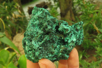 Natural Silky Malachite Specimens x 6 From Kasompe, Congo