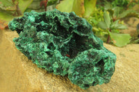 Natural Silky Malachite Specimens x 6 From Kasompe, Congo