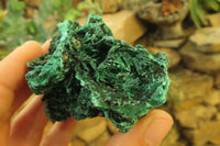 Natural Silky Malachite Specimens x 6 From Kasompe, Congo