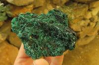 Natural Silky Malachite Specimens x 6 From Kasompe, Congo