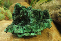 Natural Silky Malachite Specimens x 6 From Kasompe, Congo