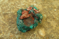 Natural Dioptase On Dolomite Specimens x 20 From Likasi, Congo