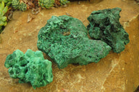 Natural Silky Malachite Specimens x 3 From Kasompe, Congo