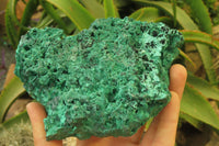 Natural Silky Malachite Specimens x 3 From Kasompe, Congo