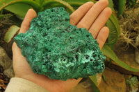 Natural Silky Malachite Specimens x 3 From Kasompe, Congo