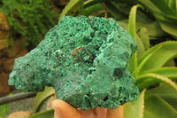 Natural Silky Malachite Specimens x 3 From Kasompe, Congo