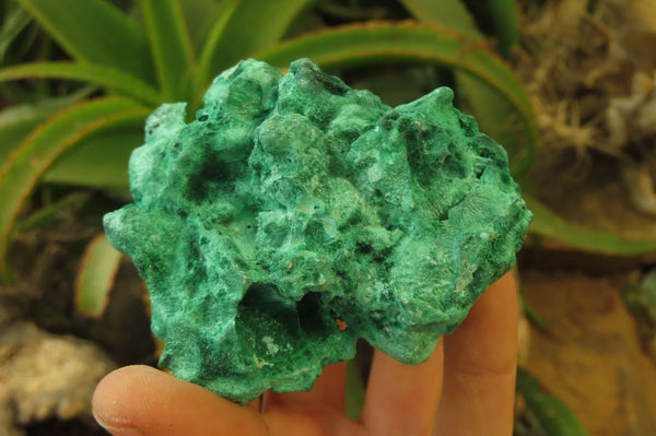 Natural Silky Malachite Specimens x 3 From Kasompe, Congo