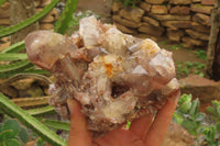 Natural Red Hematoid Quartz Clusters x 2 From Karoi, Zimbabwe