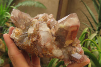 Natural Red Hematoid Quartz Clusters x 2 From Karoi, Zimbabwe