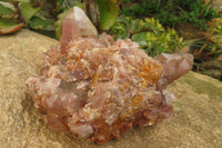 Natural Red Hematoid Quartz Clusters x 2 From Karoi, Zimbabwe