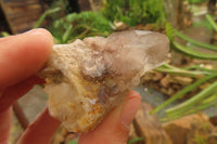 Natural Red Hematoid Quartz Clusters x 12 From Karoi, Zimbabwe