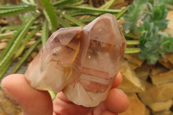 Natural Red Hematoid Quartz Clusters x 12 From Karoi, Zimbabwe