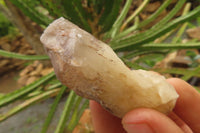 Natural Red Hematoid Quartz Clusters x 12 From Karoi, Zimbabwe