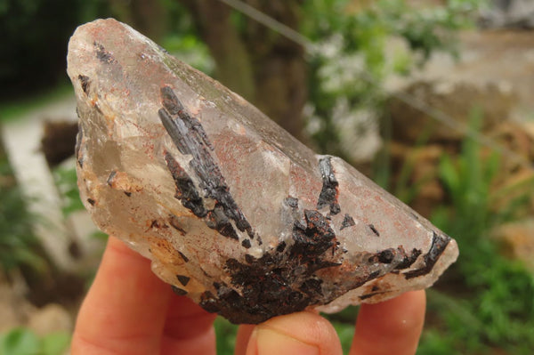 Natural Black Tourmaline With Quartz Specimens x 6 From Zimbabwe