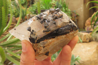 Natural Black Tourmaline With Quartz Specimens x 6 From Zimbabwe