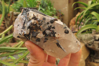 Natural Black Tourmaline With Quartz Specimens x 6 From Zimbabwe