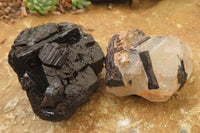 Natural Black Tourmaline With Quartz Specimens x 6 From Zimbabwe