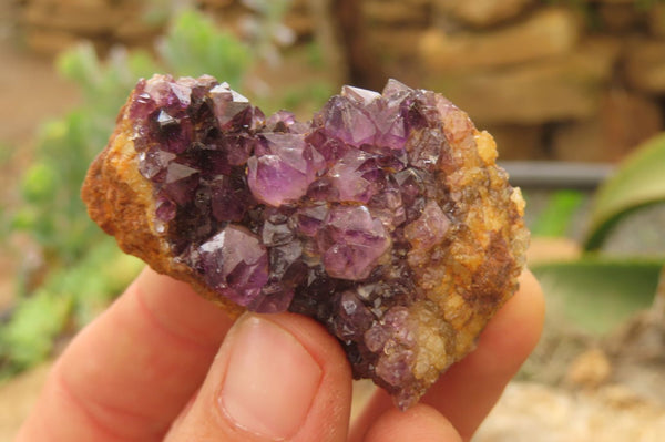 Natural Amethystos Amethyst Specimens x 35 From Kwaggafontein, South Africa