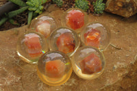 Polished Carnelian Agate in PVC Resin Paperweight Spheres - sold per item - From Madagascar