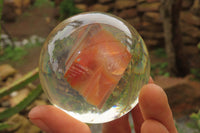 Polished Carnelian Agate in PVC Resin Paperweight Spheres - sold per item - From Madagascar