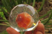 Polished Carnelian Agate in PVC Resin Paperweight Spheres - sold per item - From Madagascar