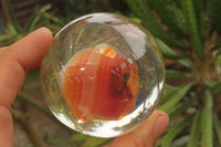 Polished Carnelian Agate in PVC Resin Paperweight Spheres - sold per item - From Madagascar