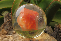 Polished Carnelian Agate in PVC Resin Paperweight Spheres - sold per item - From Madagascar