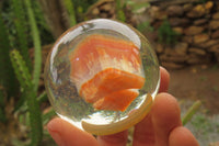 Polished Carnelian Agate in PVC Resin Paperweight Spheres - sold per item - From Madagascar